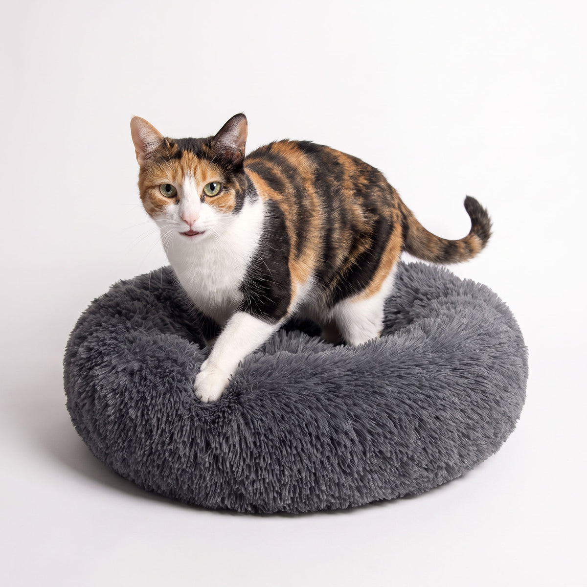 Round plush cat bed on a clean white background