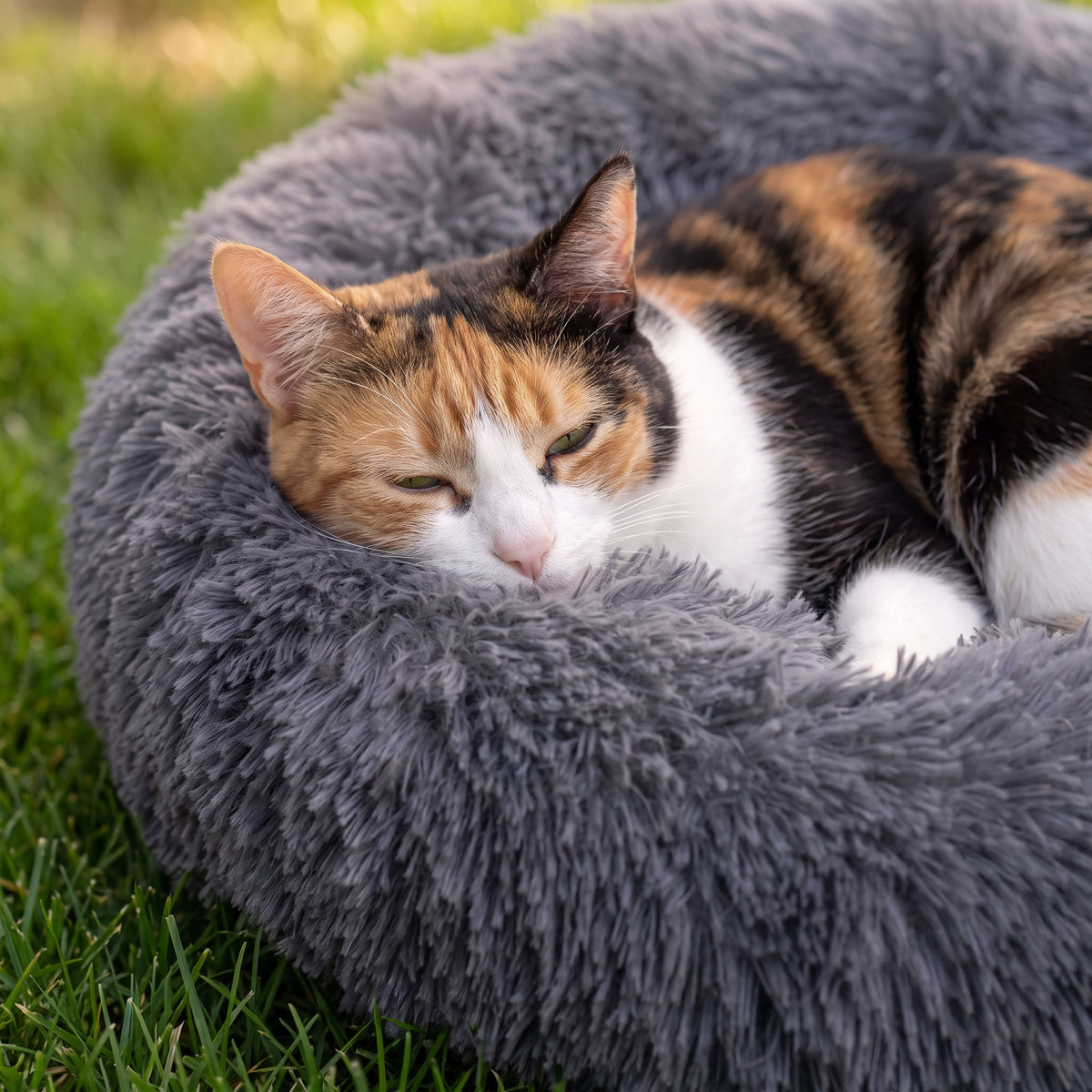 Close-up of the round plush cat bed showing the dense plush fibre of the raised edge
