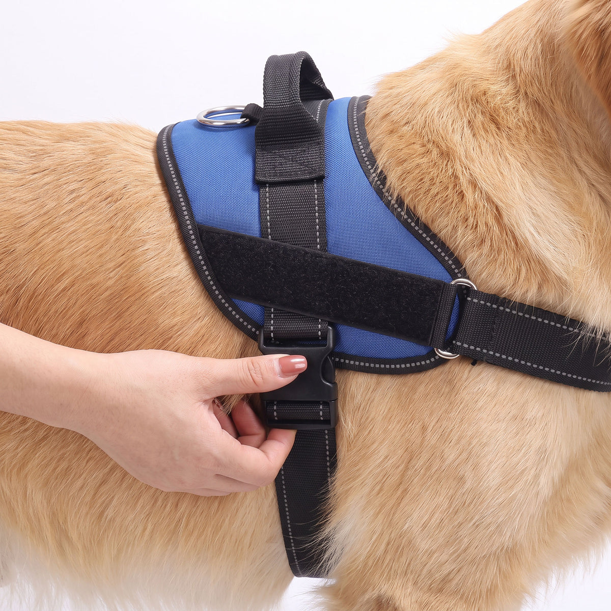 A woman's hand adjusting the chest strap buckle on the harness