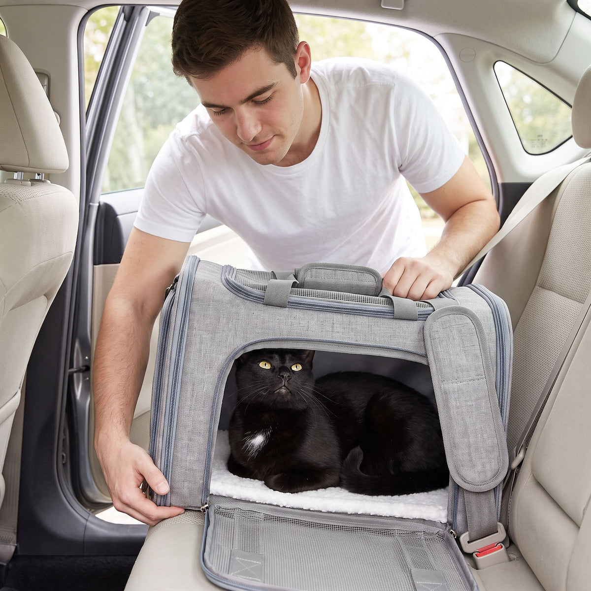 Carrier buckled into a car back seat with a black cat resting calmly inside