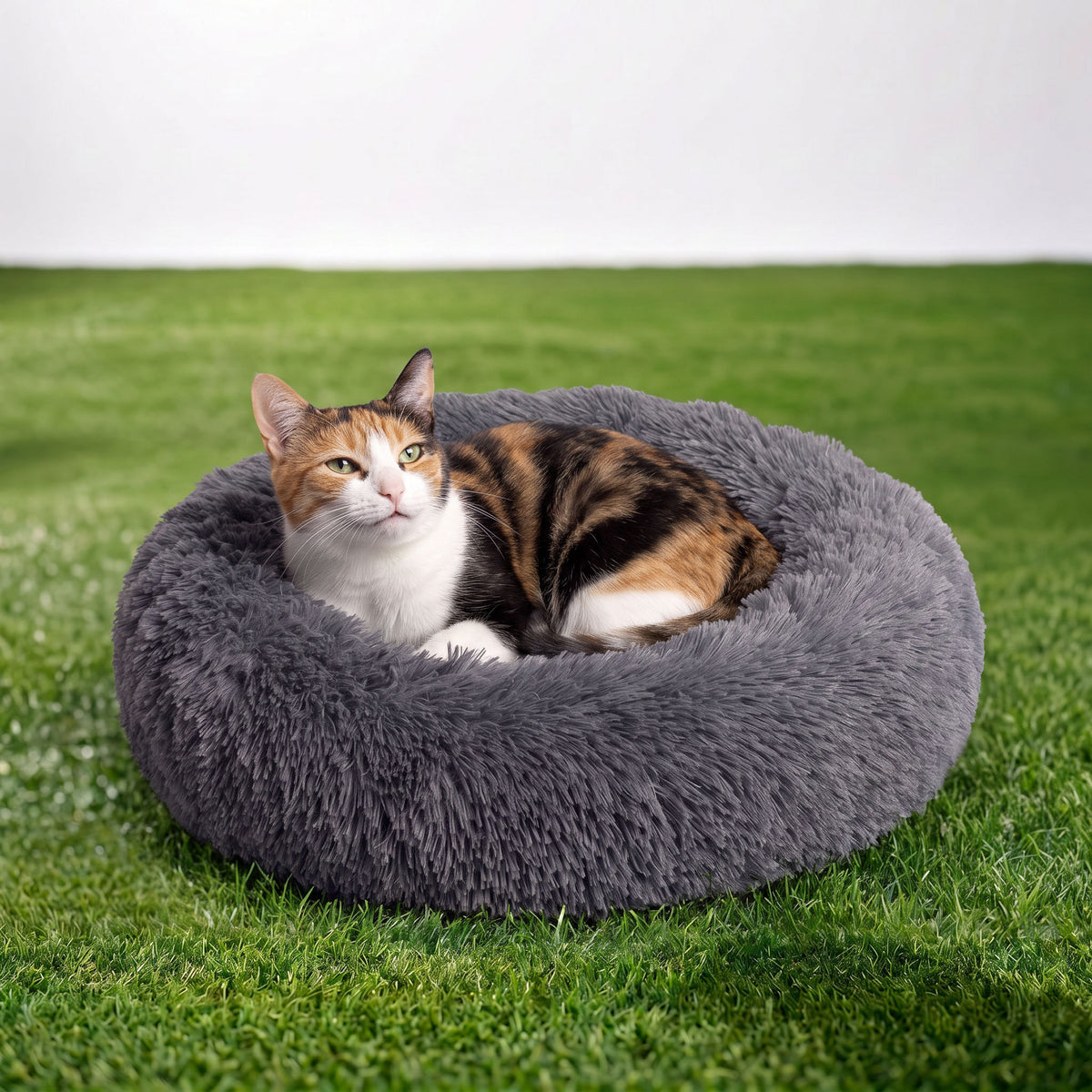 Round plush cat bed on a white set with natural grass on the ground