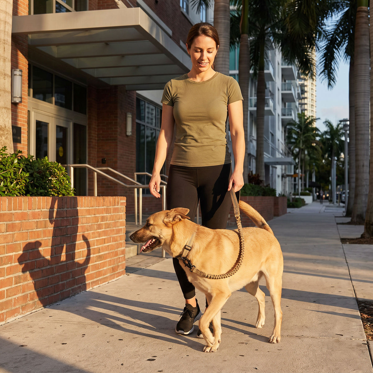 Dog circling the handler while the rotating clip swivels freely, keeping the leash untwisted