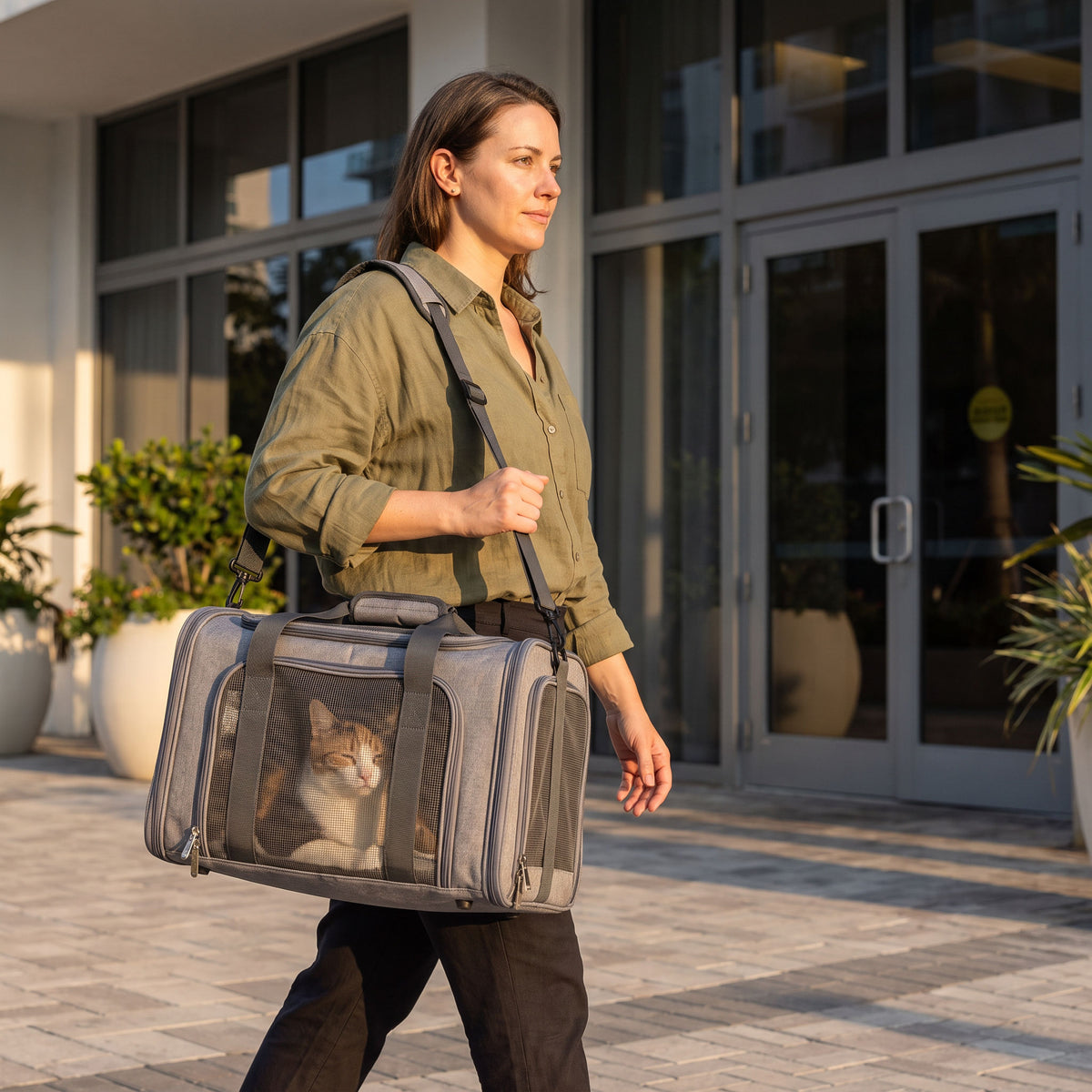 Soft sided pet carrier with mesh panels