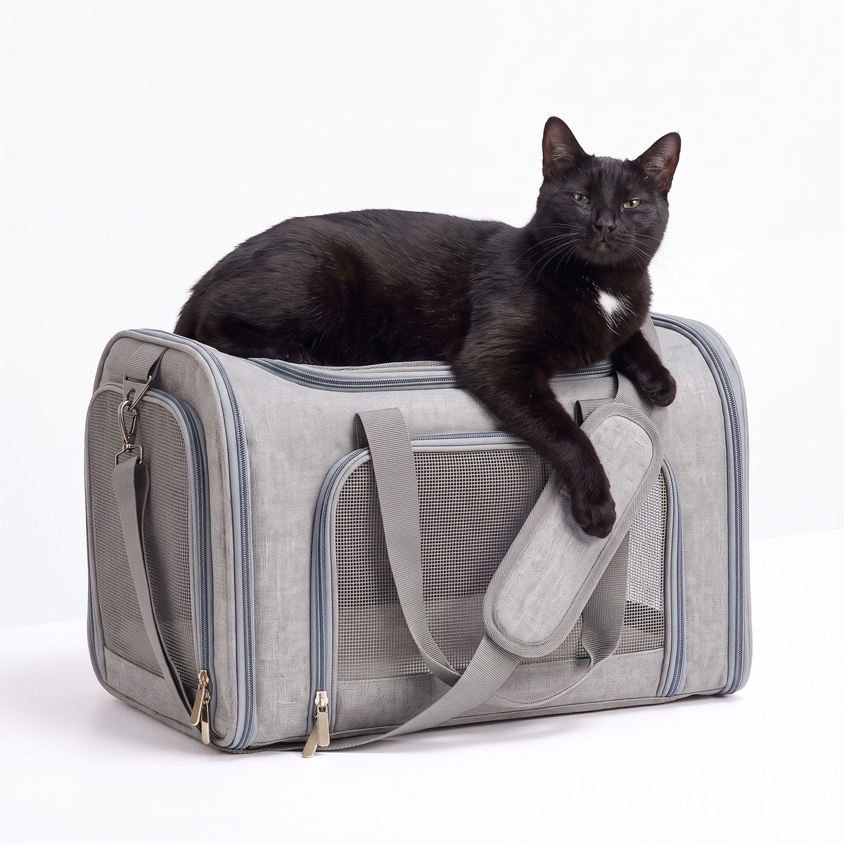 Calico cat sitting calmly inside the carrier, head through the open front mesh panel