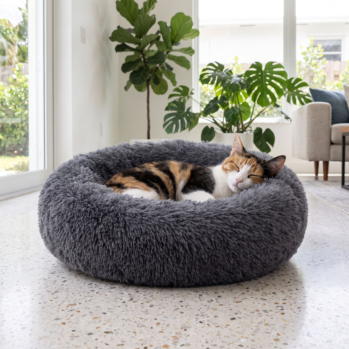 Round plush cat bed in a plant filled modern room