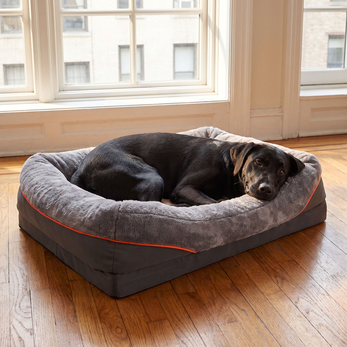 Woman sitting beside her black Lab resting in the sofa bed in a Brickell high-rise apartment