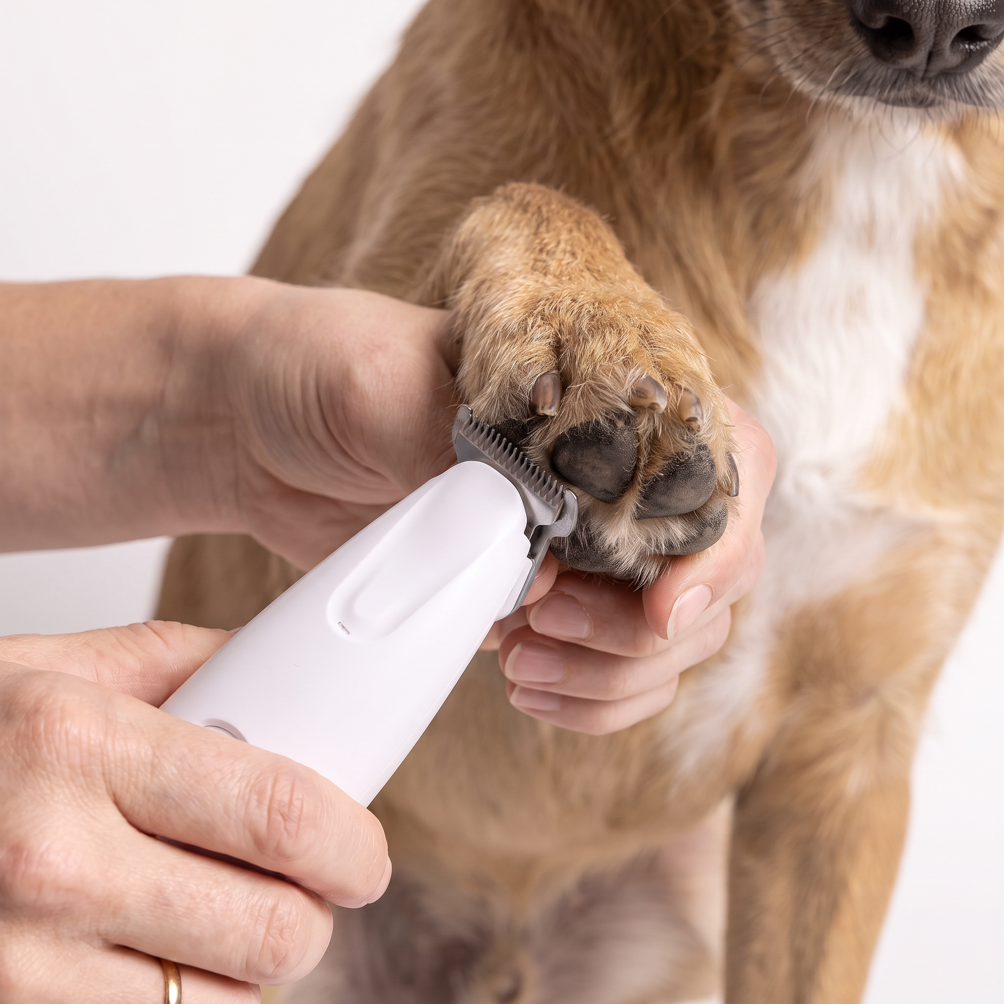 Pet Paw Hair Trimmer | Quiet Under 50dB | LED Light | Rounded Blade | Dogs & Cats