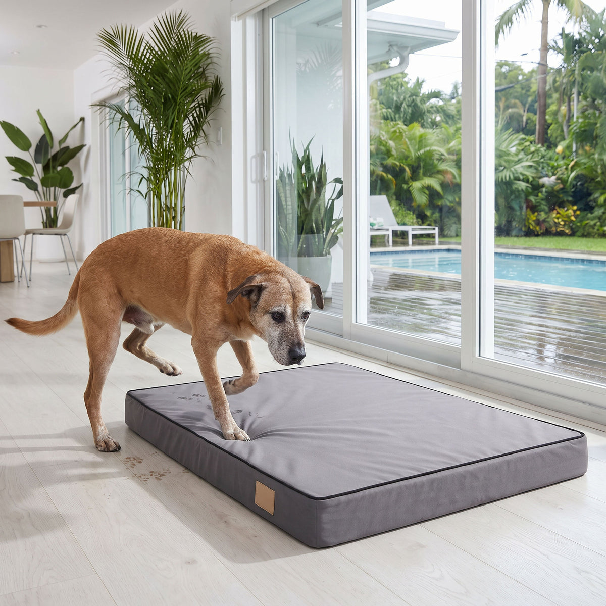 Flat foam dog mattress shown square format