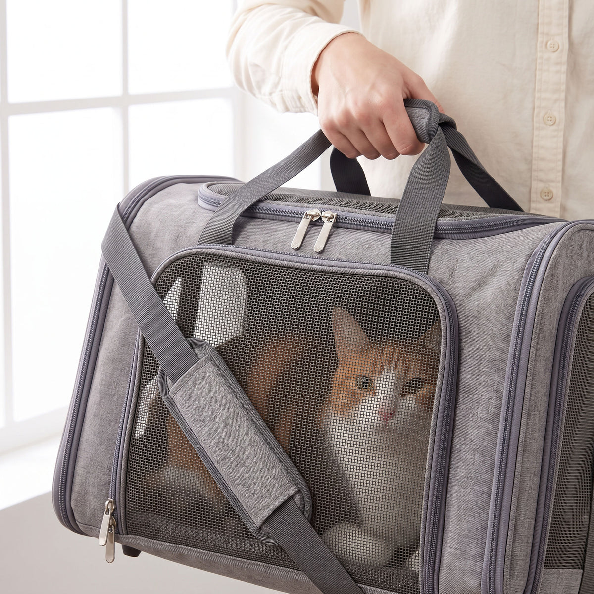 Pet carrier shown carried two ways, by the top handle and by the shoulder strap