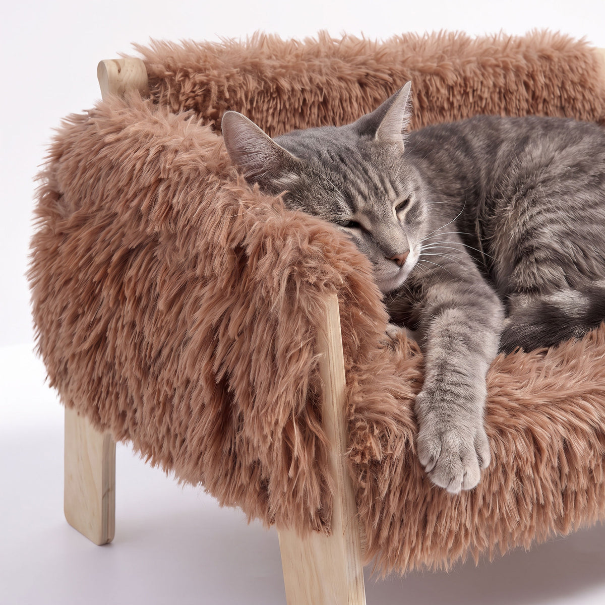 Cat resting on the raised wooden sofa bed