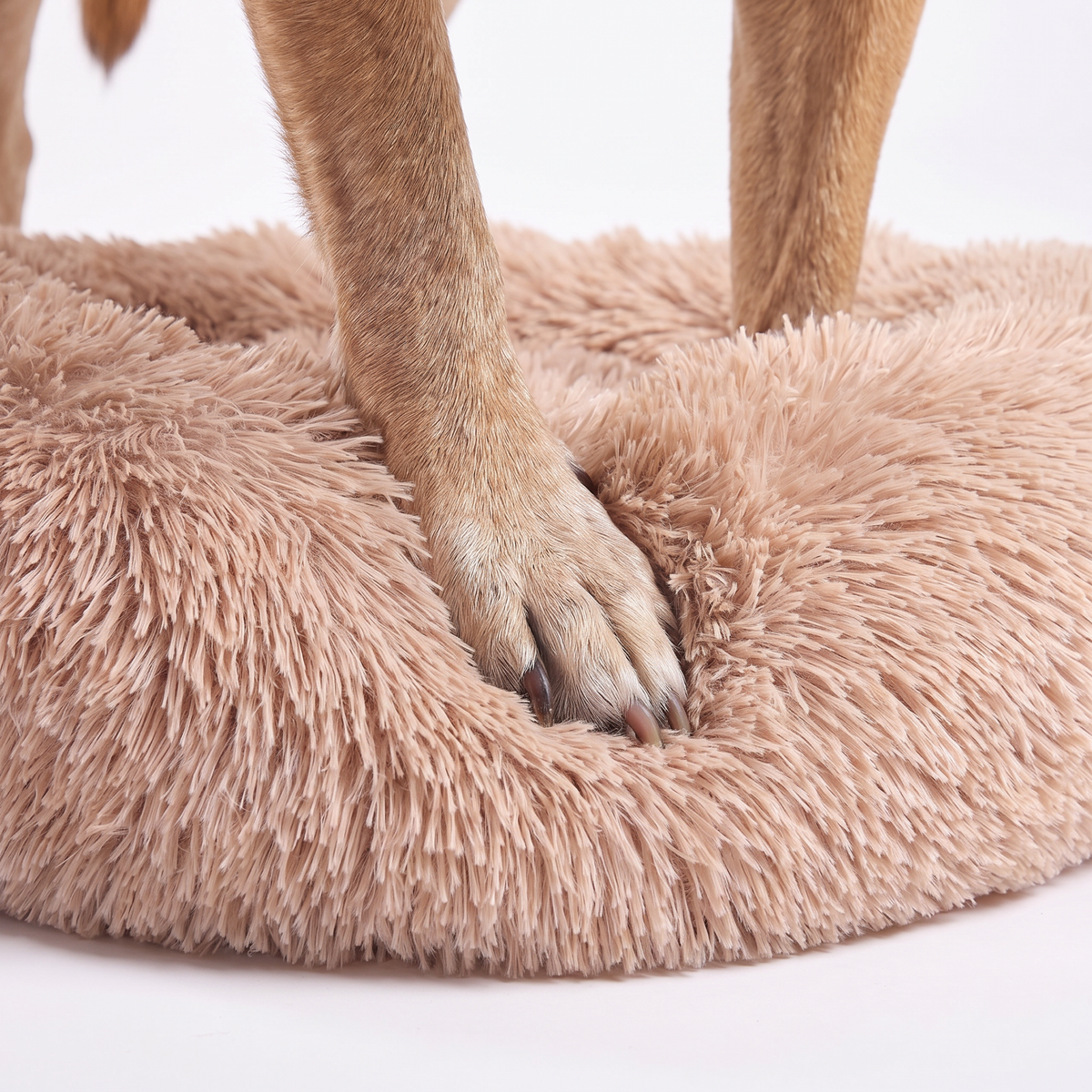 Denzo Pets