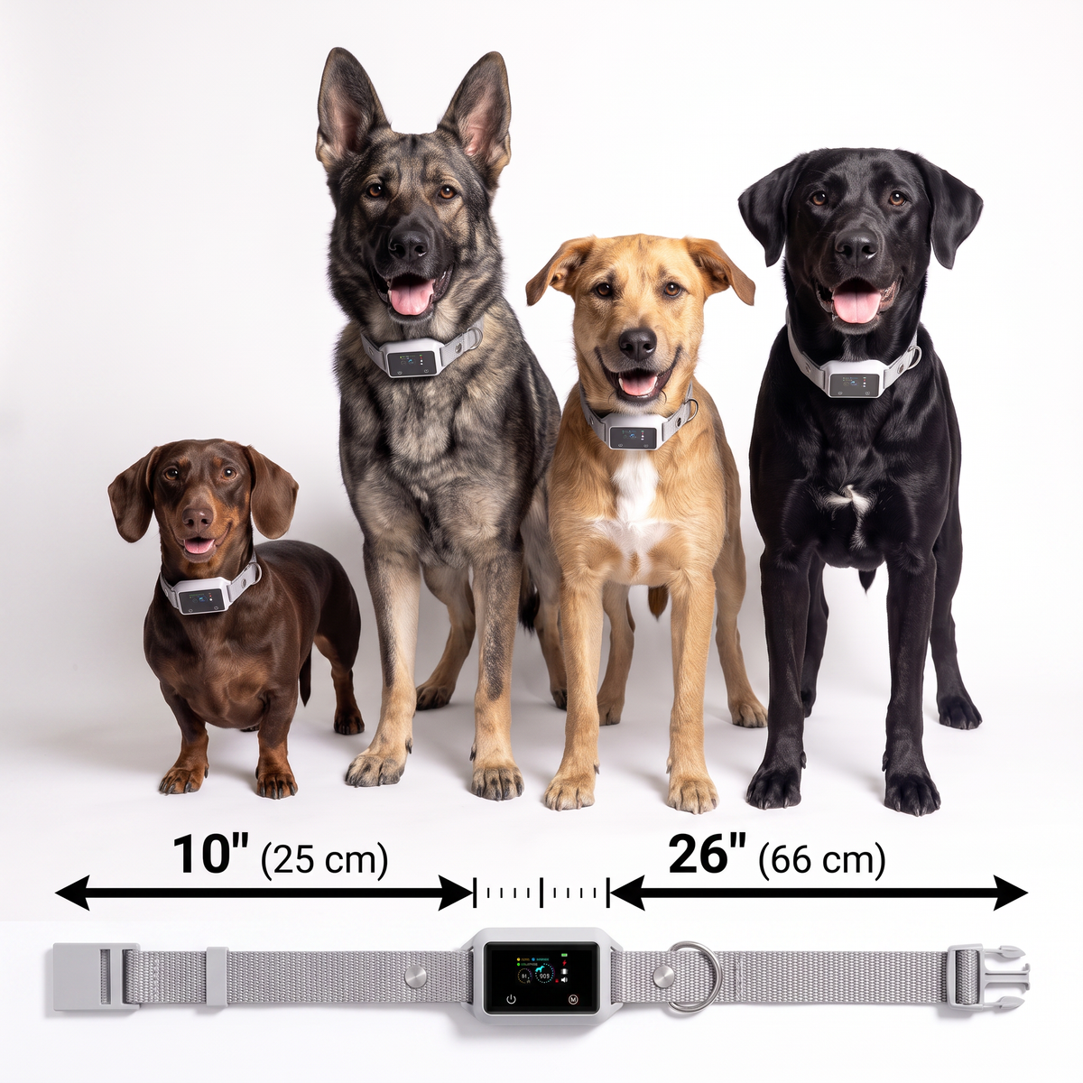 Denzo Pets