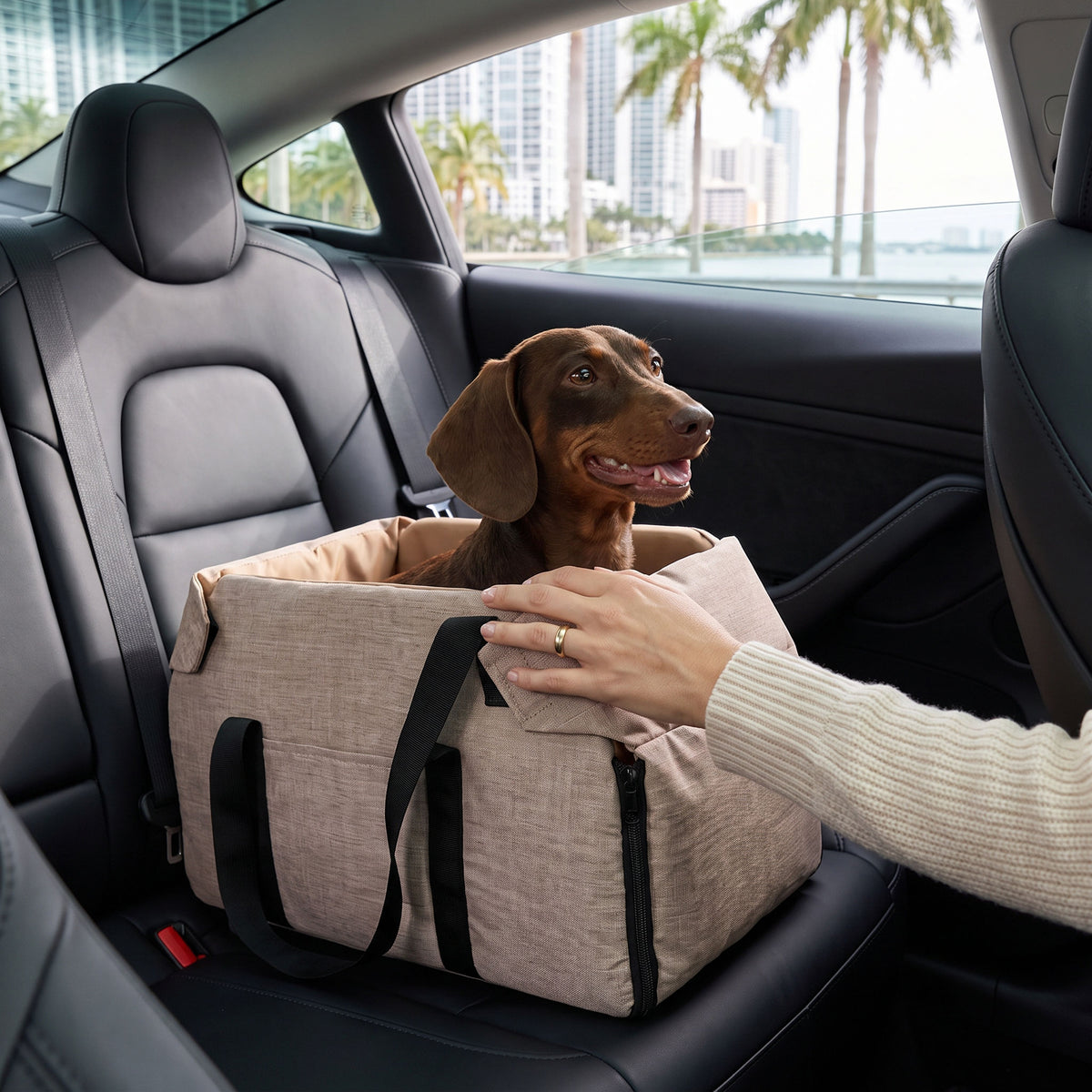 Console Dog Car Seat in use, lifestyle