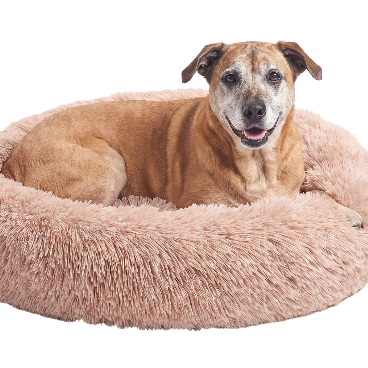 Denzo Pets