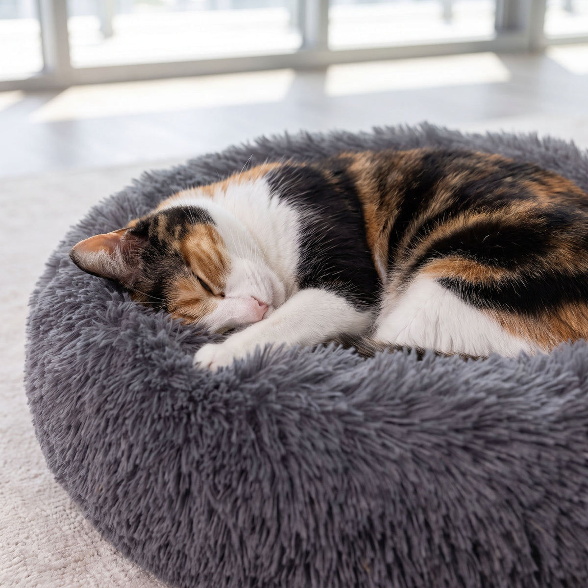 Close-up of a relaxed cat settled into the round plush bed with its head resting on the raised edge