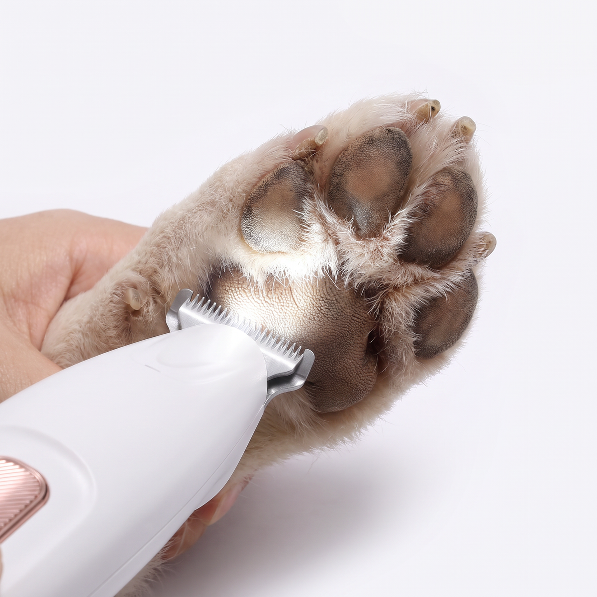 Denzo Pets